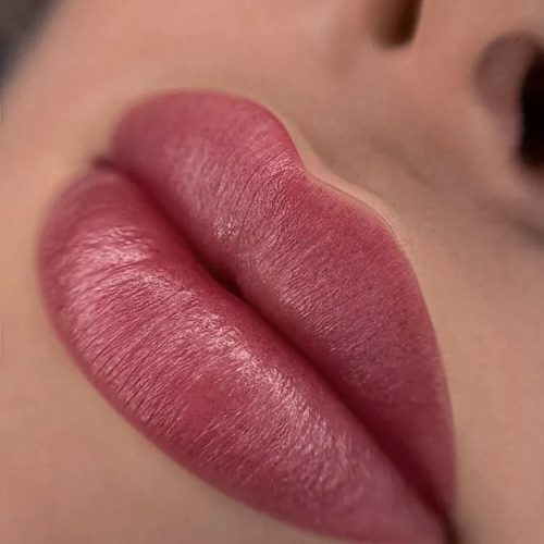 micro-labios3